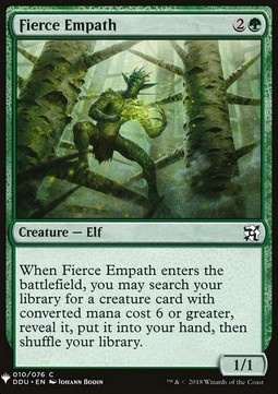 Fierce Empath 