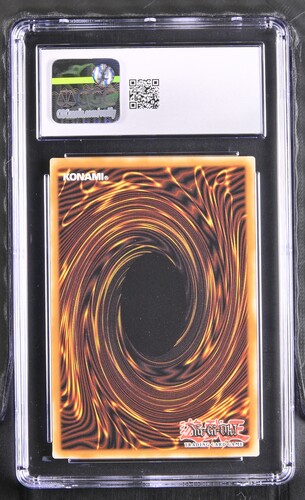 Rainbow Dragon - TN23 4 - English - CGC 10