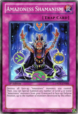 Amazoness Shamanism 