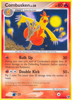 Combusken Lv.24 