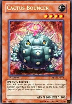 Cactus Bouncer 