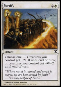 Fortify 