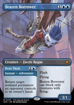 Brazen Borrower Petty Theft 
