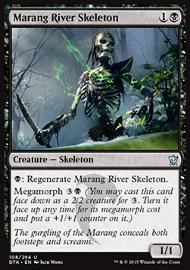 Marang River Skeleton 