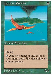 Birds of Paradise - Fifth Edition 
