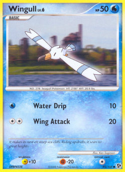 Wingull Lv.6 