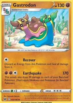 Gastrodon 