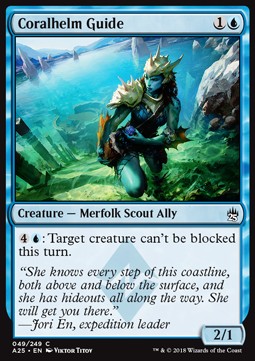 Coralhelm Guide 